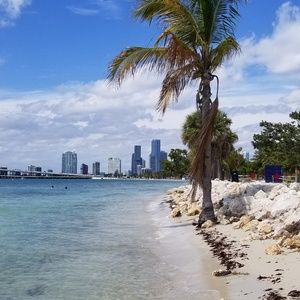 Meet your Posher, Ileana